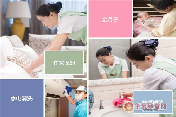 金管家家政 以专业与温度，定义品质生活新标准